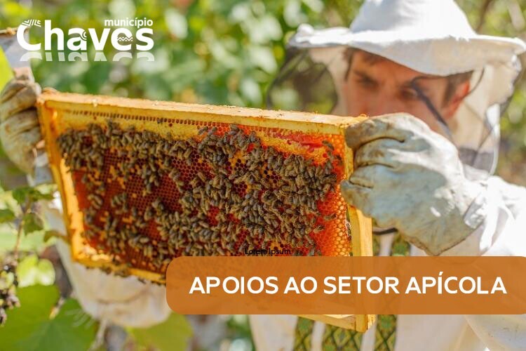apicultura (1)